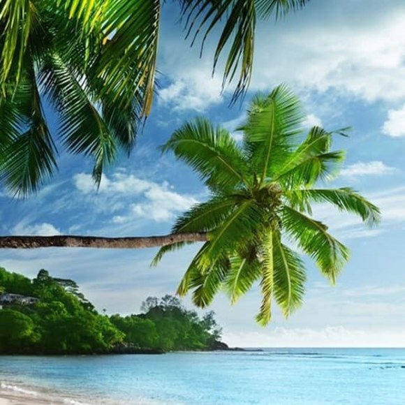 Meet your Posher, Oceanbreeze - Picture 1 of 1